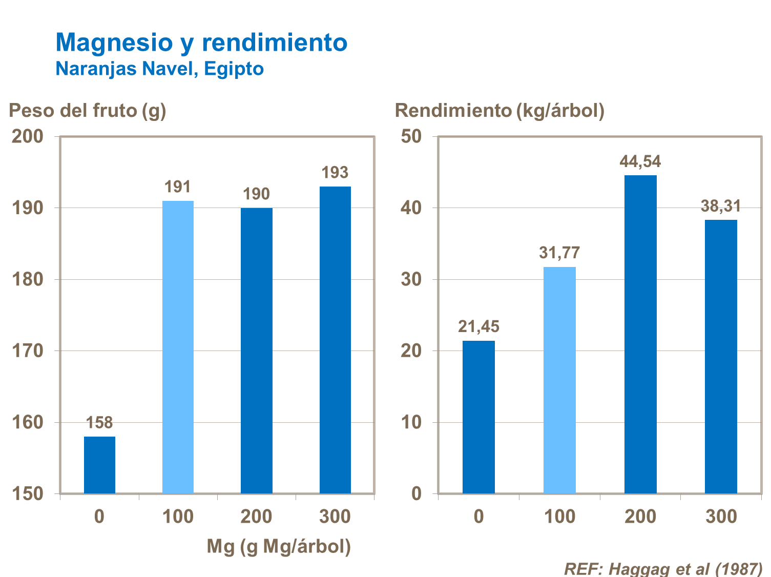 Magnesio y rendimiento